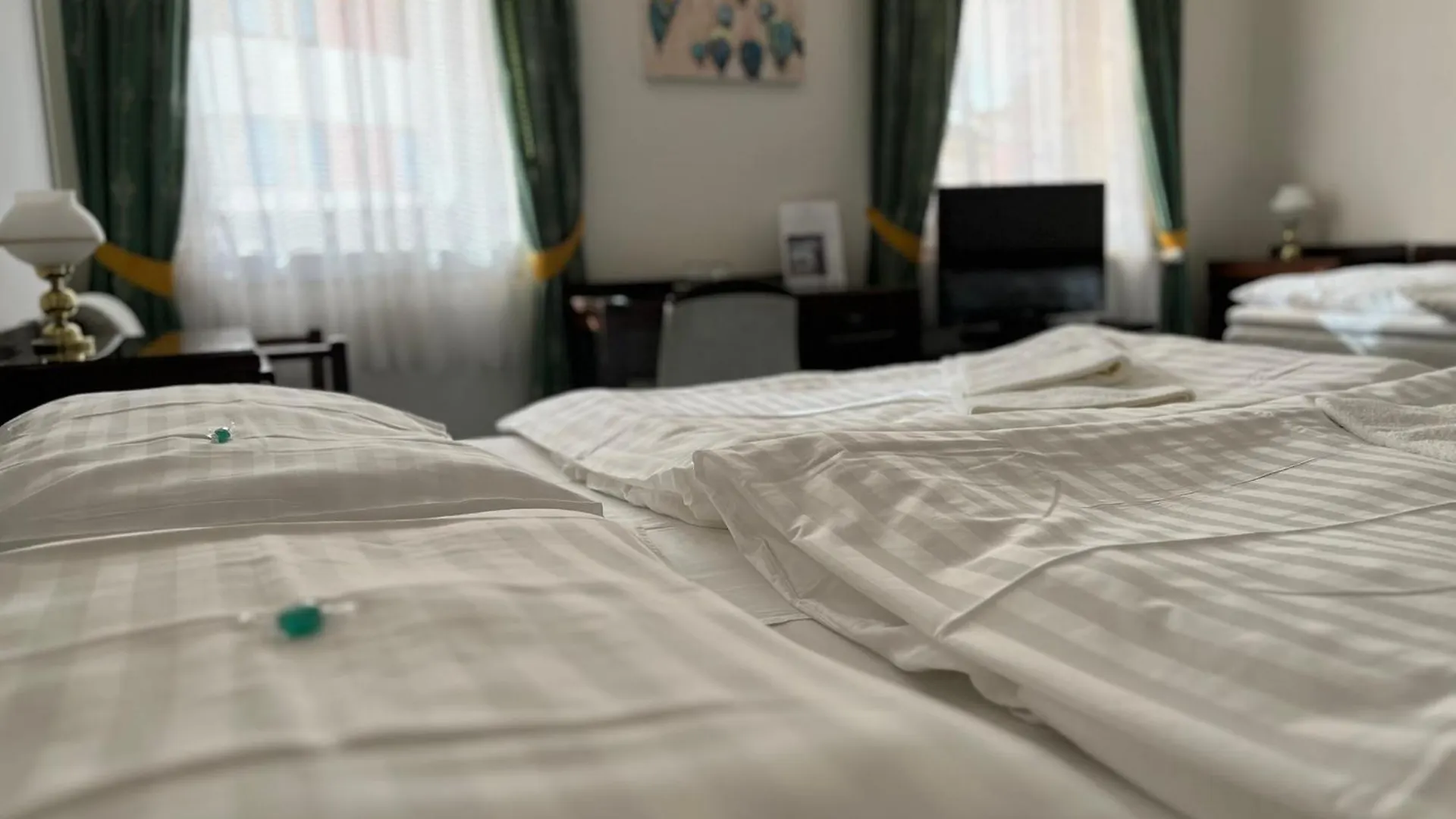 Hotel Omega Brno