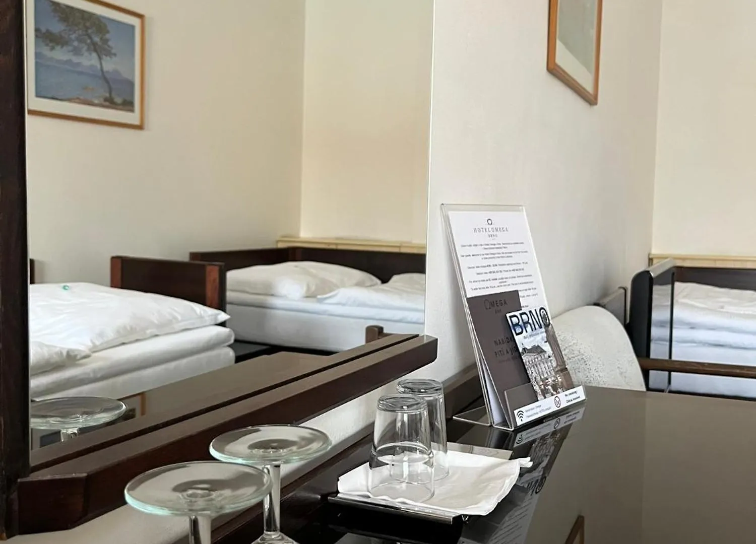 Hotel Omega Brno 3*,